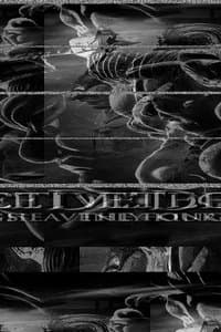 Stranger Than Paradise