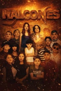 Halcones