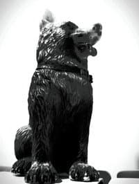 The Dog of Sarandi Alley