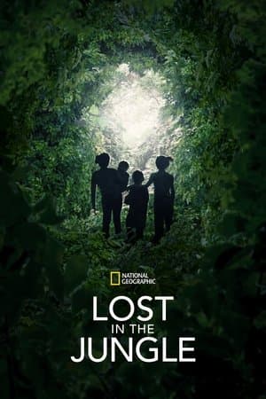 Lost in the Jungle