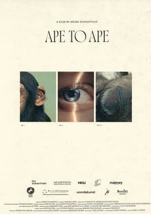 Aap tot Aap