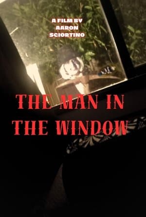 The man in the window