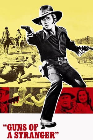 Guns of a Stranger