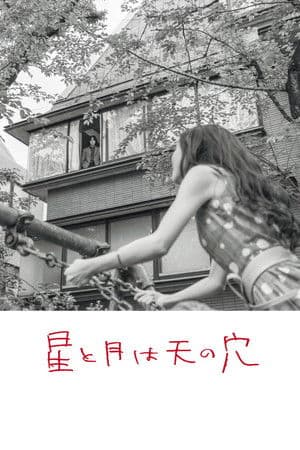 The Stars and the Moon are Holes in the Sky